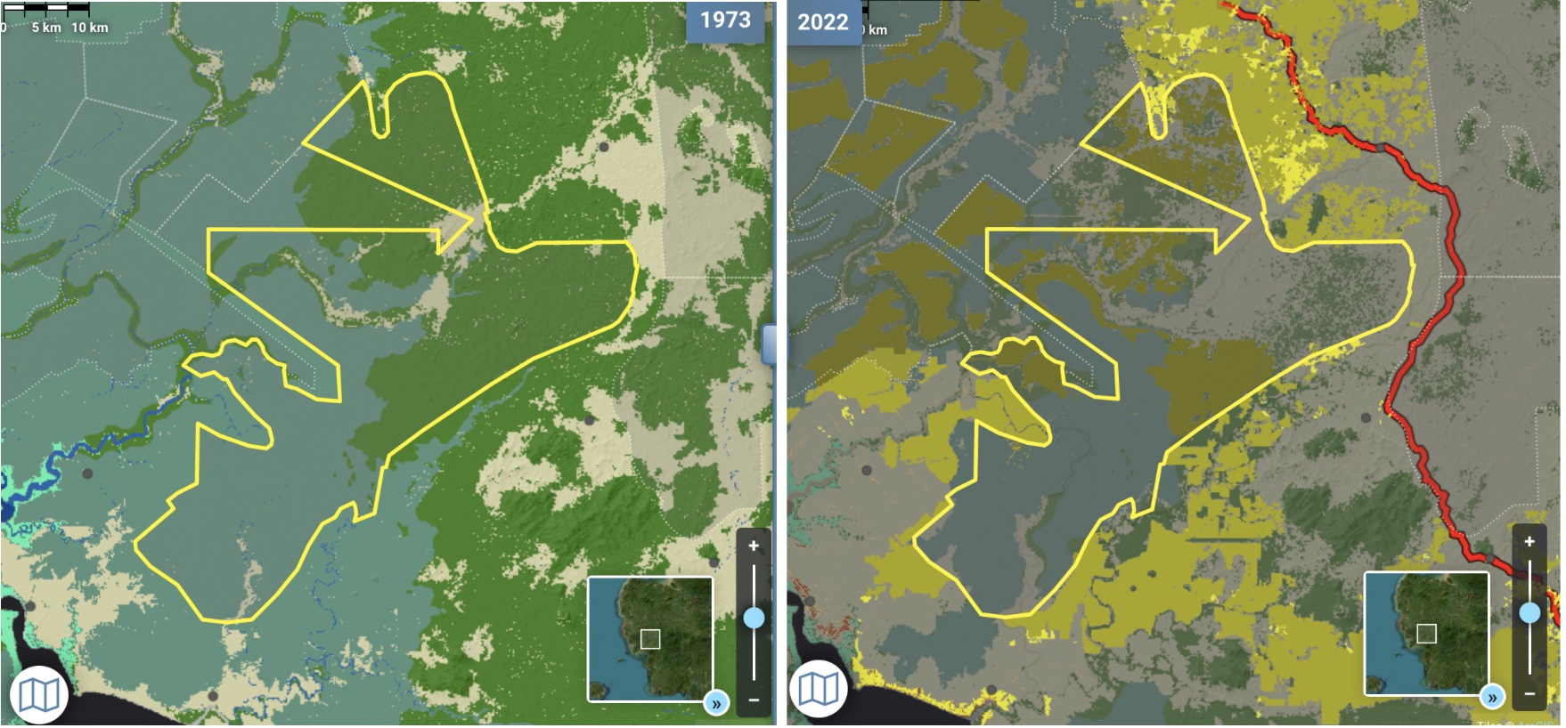 Deforestation within Mayawana Persada’s concession in West Kalimantan, Nusantara Atlas
