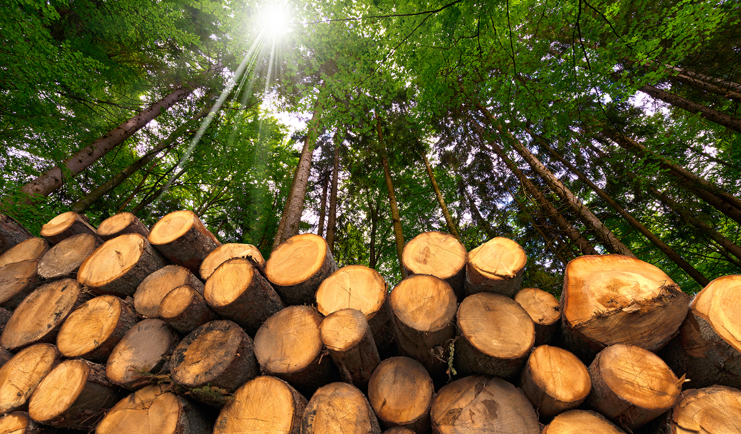 Paper Saving and Efficiency | Environmental Paper Network