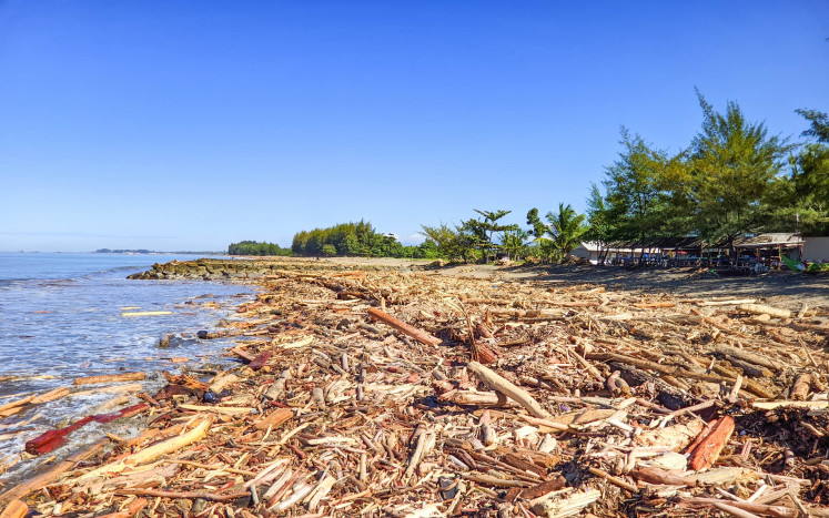 Logs West Sumatra Flood © free shutterstock