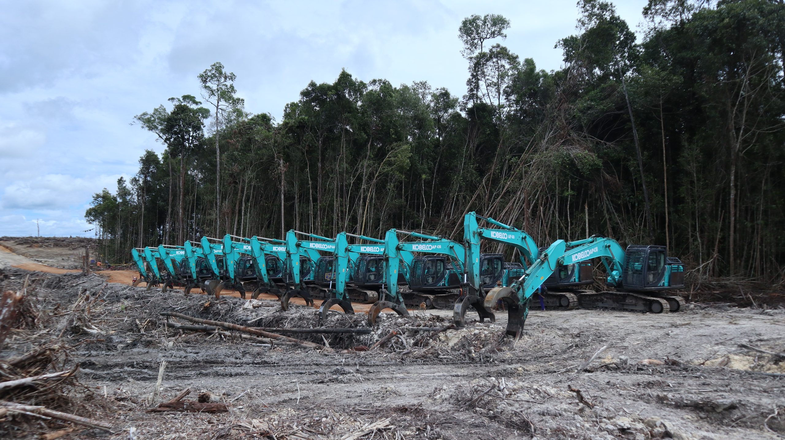 PT Mayawana Persada concession, Western Kalimantan @Auriga