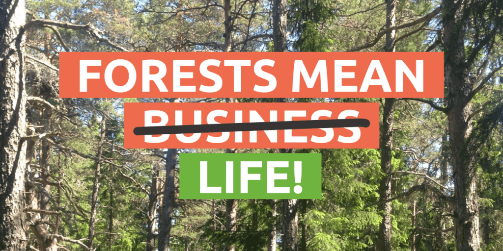 UNFAO: Forests Are Life! International Day of Forests