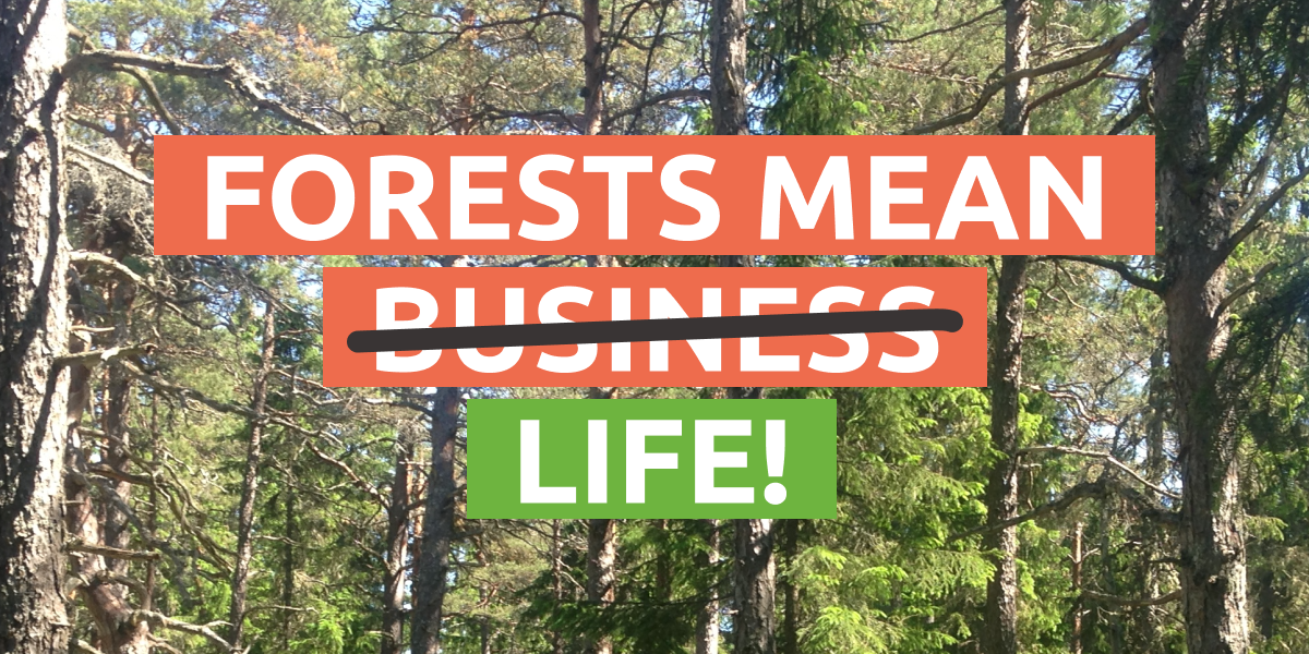 UNFAO: Forests Are Life! International Day of Forests