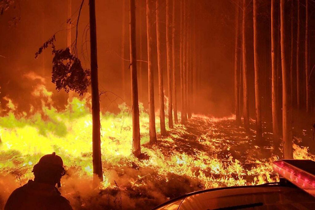 Plantation in fire, Corrientes, Argentina, 2025 - © Greenpeace