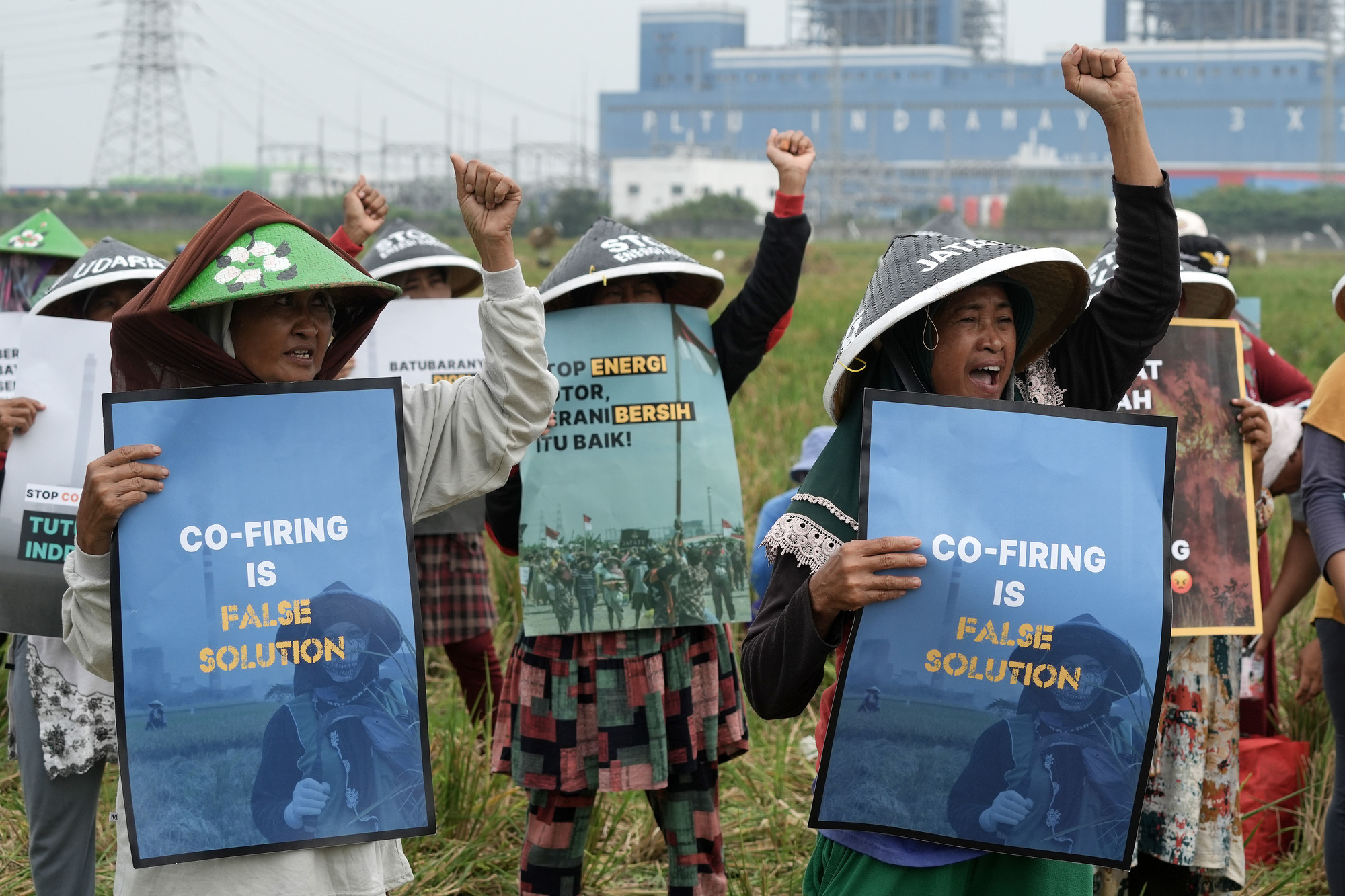 The Human Rights impacts of technologies linked to large-scale biomass energy