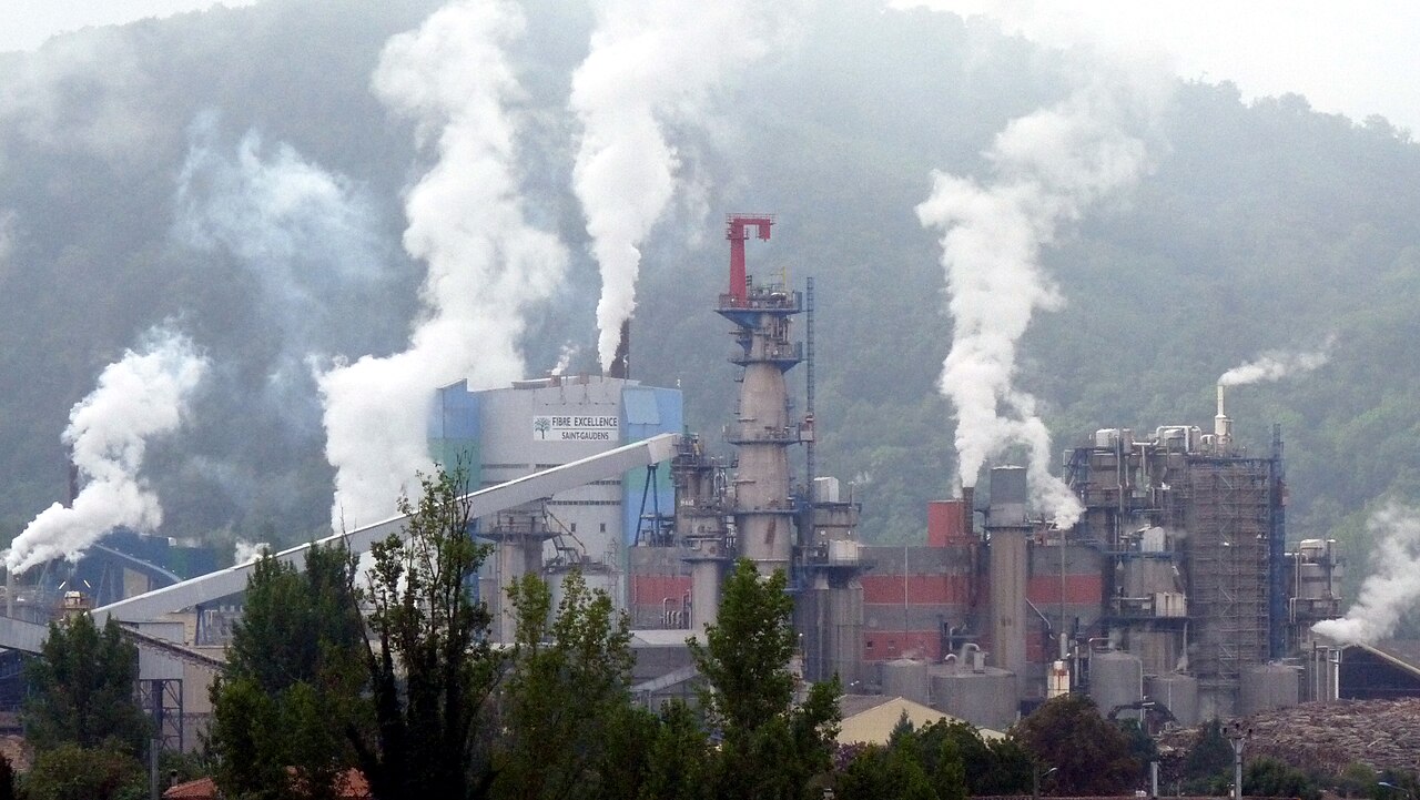 Fibre Excellence: bioenergy subsidies have pushed the largest French pulp company to bankruptcy