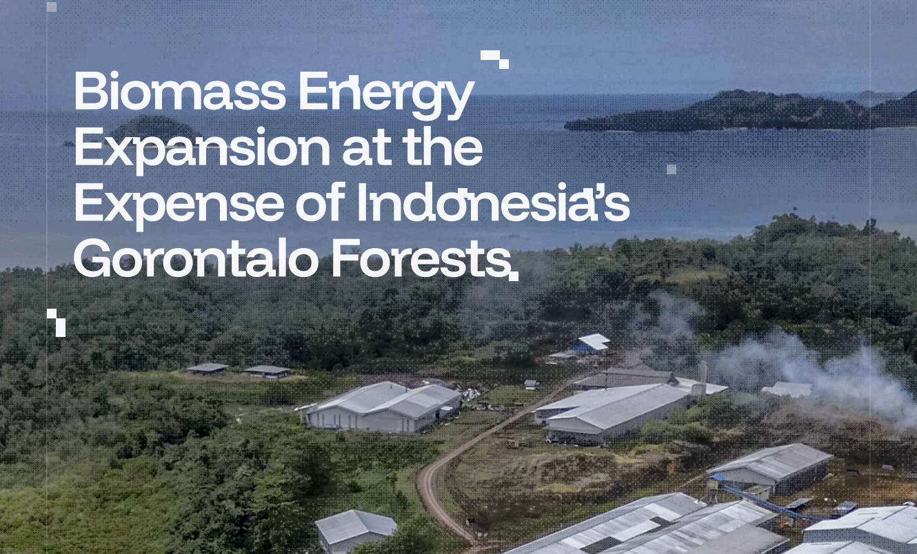 Biomass Energy Expansion at the Expense of Indonesia’s Gorontalo Forests